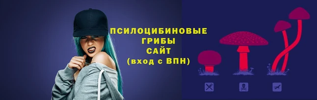 спайс Беломорск