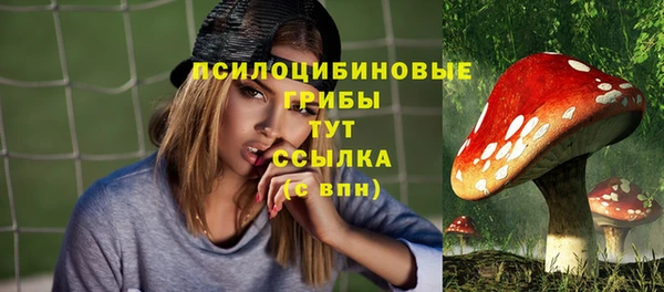 спайс Беломорск