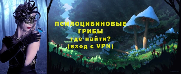 спайс Беломорск